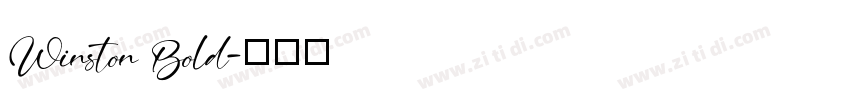Winston Bold字体转换